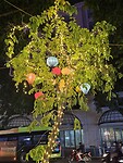 Lampionnen