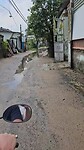 Wathercrossing