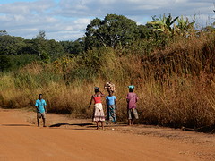 DSCN8333Along the road