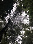 F0229816-6534-42EF-926B-E69A7B176982