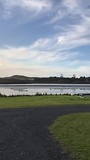 camping Paihia