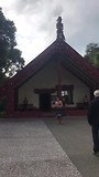 Maori