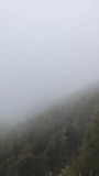 Misty mountains/Lake rotoiti