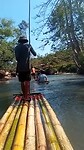 Bambo varen