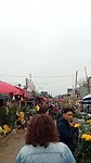 Bloemen markt Hanoi
