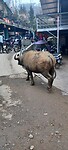 IMG-20240220-WA0003