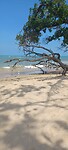 IMG-20240224-WA0003