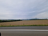 1000028029