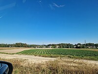 1000028426