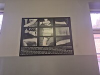 1000043986