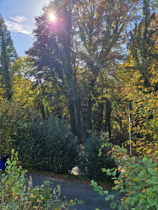 1000029518