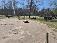 1000053434
