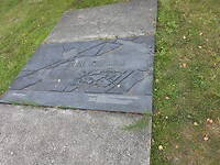 1000056256