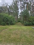 1000056260