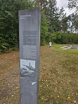 1000056265