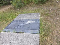 1000056271