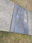 1000056273