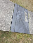 1000056272