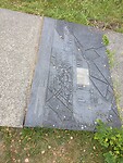 1000056288