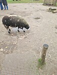 1000059858