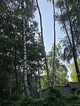 1000075221