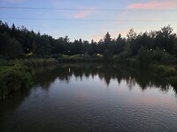 1000081329