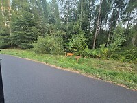 1000078424