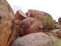 DSCN0877