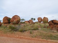DSCN0903