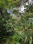 20171203_111658
