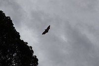 20181001072730_IMG_0988