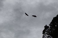 20181001072659_IMG_0983