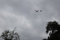 20181001072639_IMG_0971