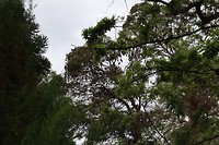 20181001071103_IMG_0964