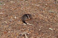 20181001064940_IMG_0963