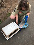 IMG-20181001-WA0013