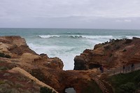 20181004073626_IMG_1121
