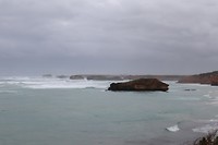 20181004071517_IMG_1106