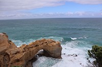 20181005020816_IMG_1196