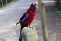 20181005065630_IMG_1306