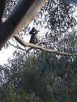 20181005_151040