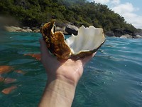 DSCN0176