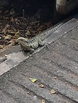 20181030_101709