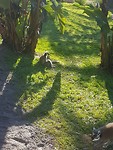 20181031_162537