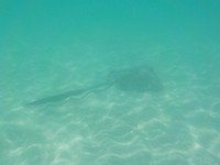 DSCN0201