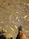 20181113_130315