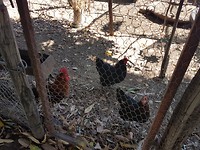 20181113_130339