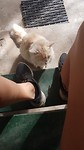 IMG-20181120-WA0003