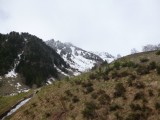 Pyreneeen