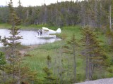 Gestrande watertaxi